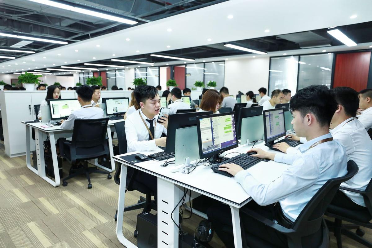 电子商务与软件开发综合性企业经营范围解析